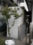 トレス写真 035.jpg