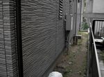 トレス写真 137.jpg