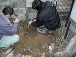 トレス写真 589.jpg